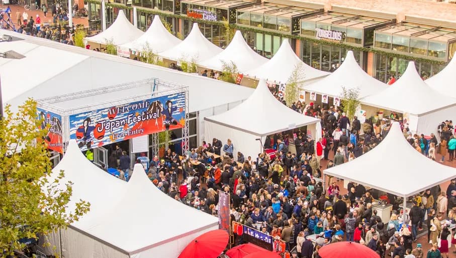 Japan Festival promo image 2018