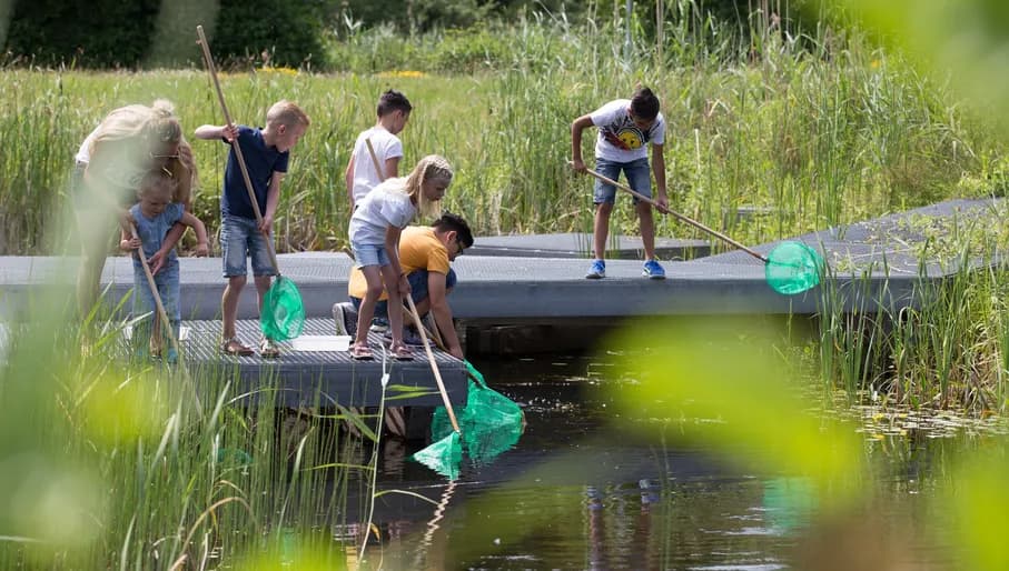 Waterbeestjes zoeken in het Flevo-landschap