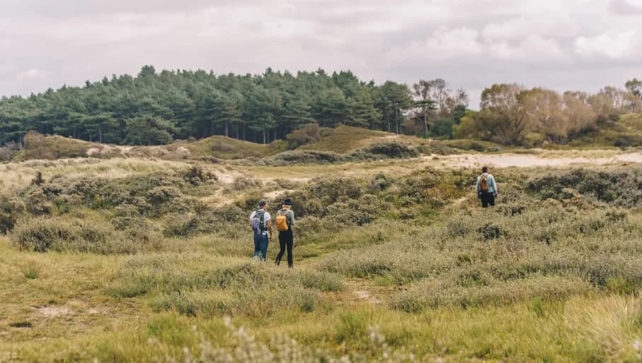 People Hiking at Nationaal Park Zuid-Kennemerland