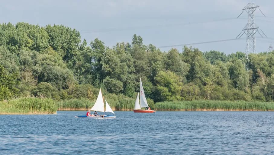 Sailing at Gaasperplas sail boats on the water