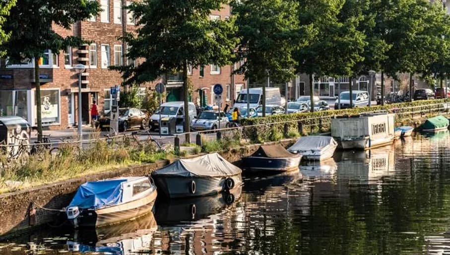 Canal tree line with docked boats