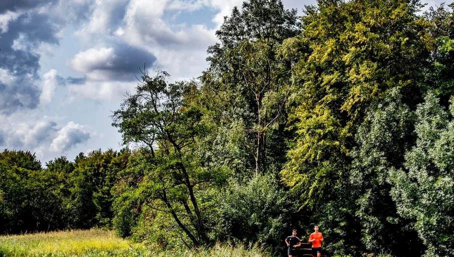 Two men running along path through forest in Amstelveen