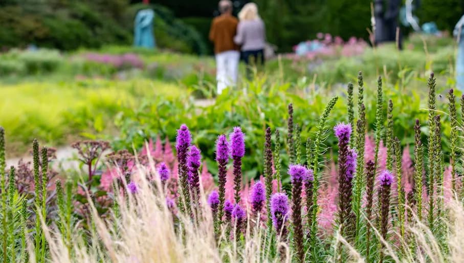 Couple walking in Singer Laren Museum sculpture garden