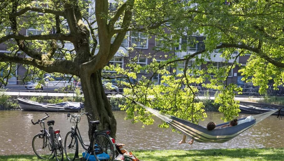 Westerpark person in hammock.